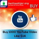 Buy YouTube Video Likes